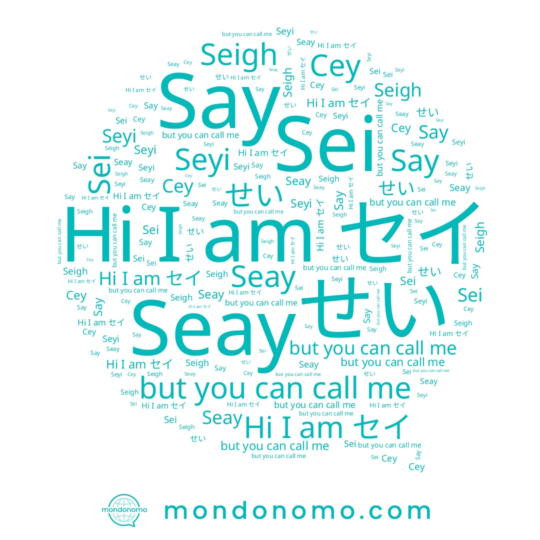 name Say, name Sei, name セイ, name Seay, name Seyi, name Cey, name せい, name Seigh