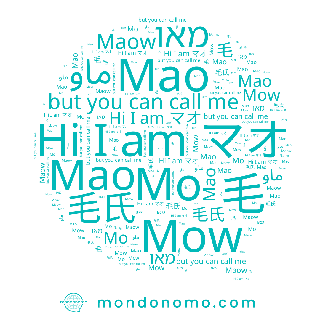 name Mow, name Mo, name ماو, name Maow, name Mao, name 毛, name Мао, name マオ, name מאו, name 毛氏
