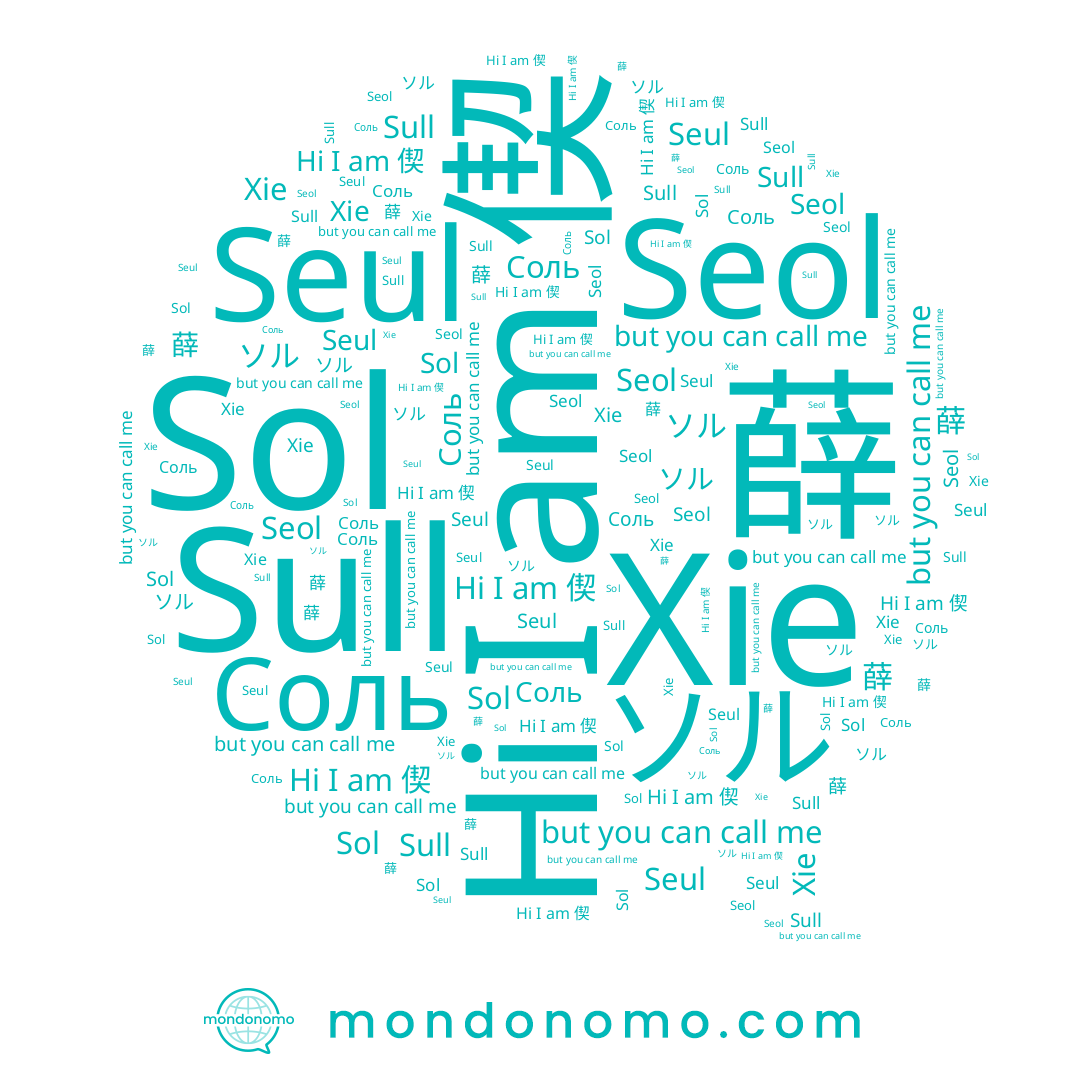 name Sol, name Xie, name 薛, name Seul, name ソル, name Sull, name 偰, name Seol, name 설, name Соль