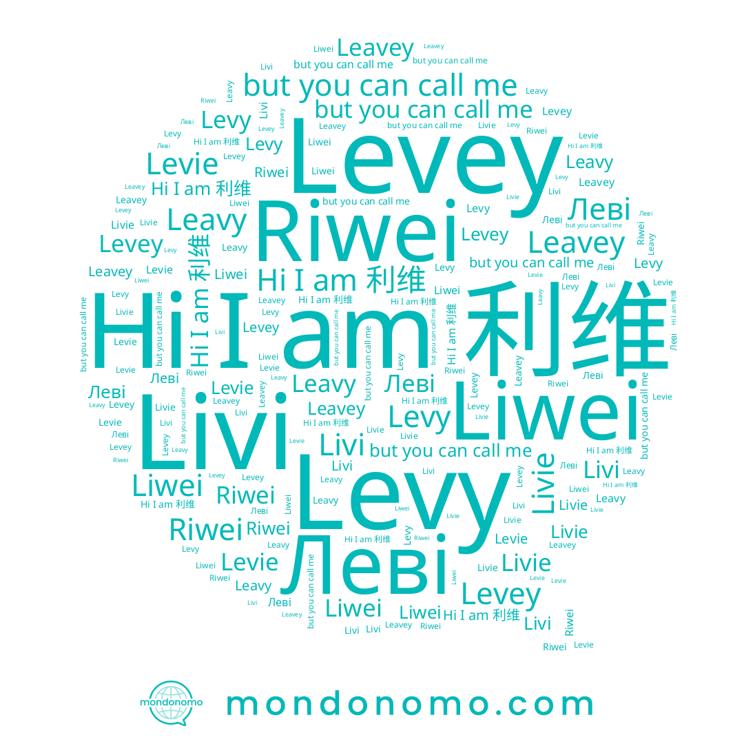 name Леві, name Riwei, name Livi, name Levey, name Levie, name Liwei, name Leavy, name Leavey, name Levy, name 利维, name Livie