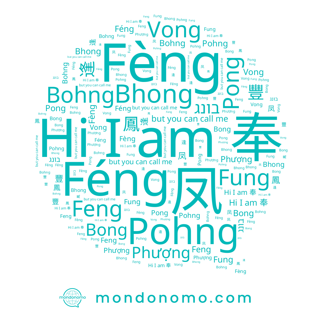 name Féng, name Bong, name Phượng, name Pong, name 豐, name 逢, name בונג, name 鳳, name Feng, name Bohng, name 奉, name Fèng, name Pohng, name Fung, name 봉, name Vong, name 鳯, name Bhong, name 凤