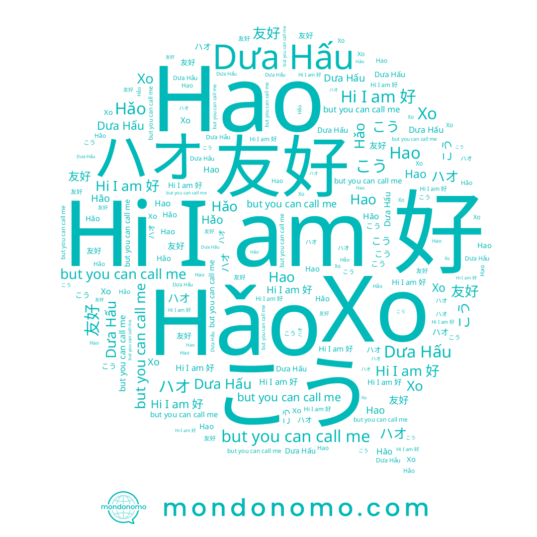 name 好, name Hao, name Dưa Hấu, name Hǎo, name 友好, name こう, name ハオ, name Хо
