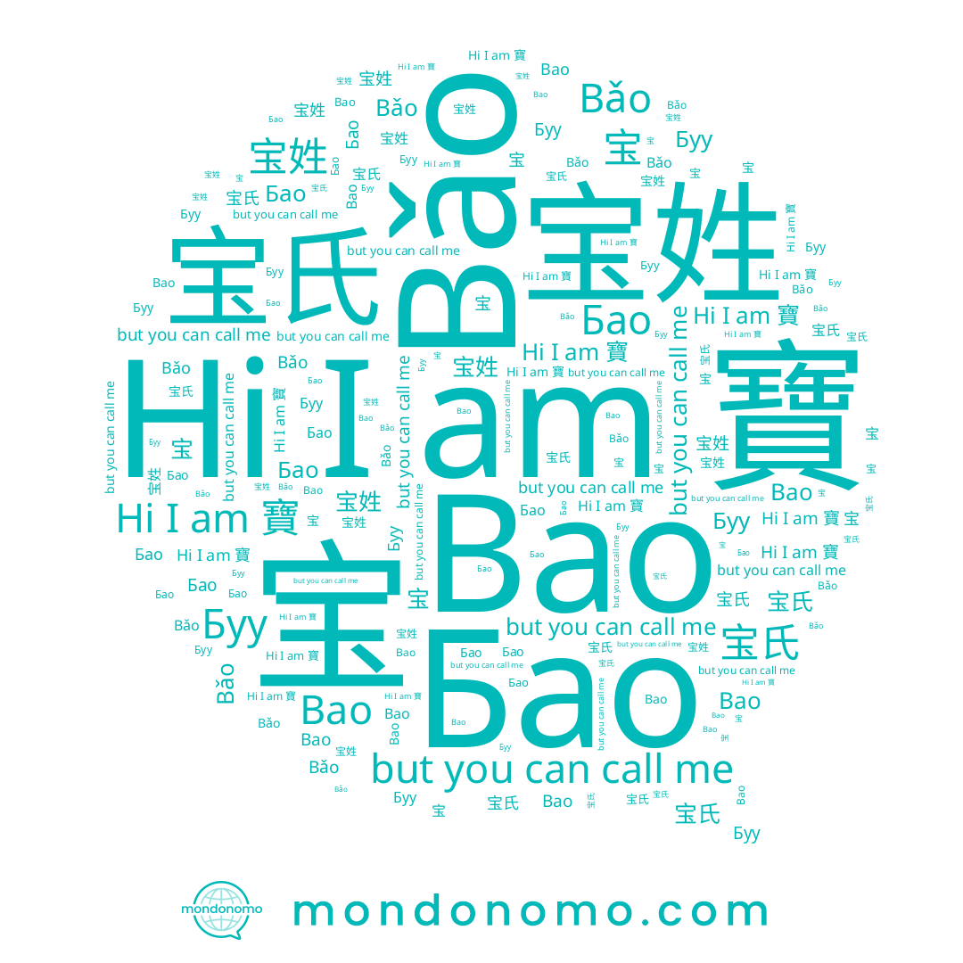 name 宝氏, name 寶, name Bao, name Бао, name 宝, name Bǎo, name 宝姓