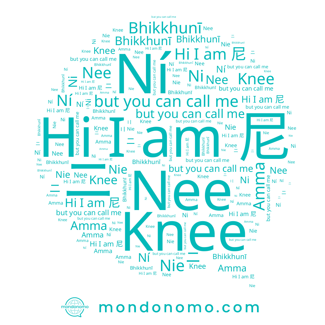 name Nee, name 尼, name Bhikkhunī, name Nie, name Knee, name Ní, name Amma, name Ni, name ニ