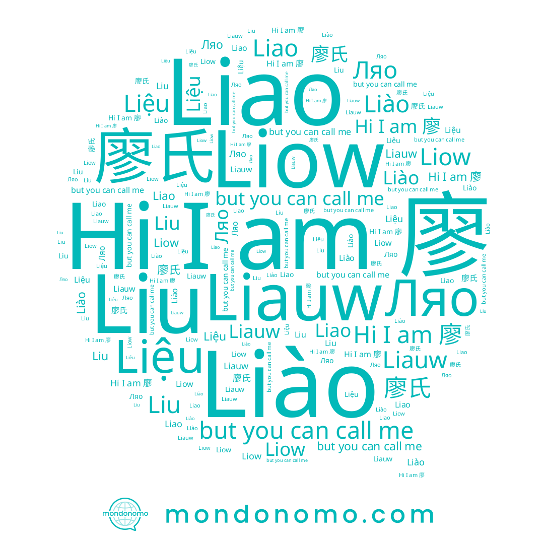 name Ляо, name Liow, name Liauw, name Liu, name Liệu, name 廖氏, name Liao, name 廖, name Liào