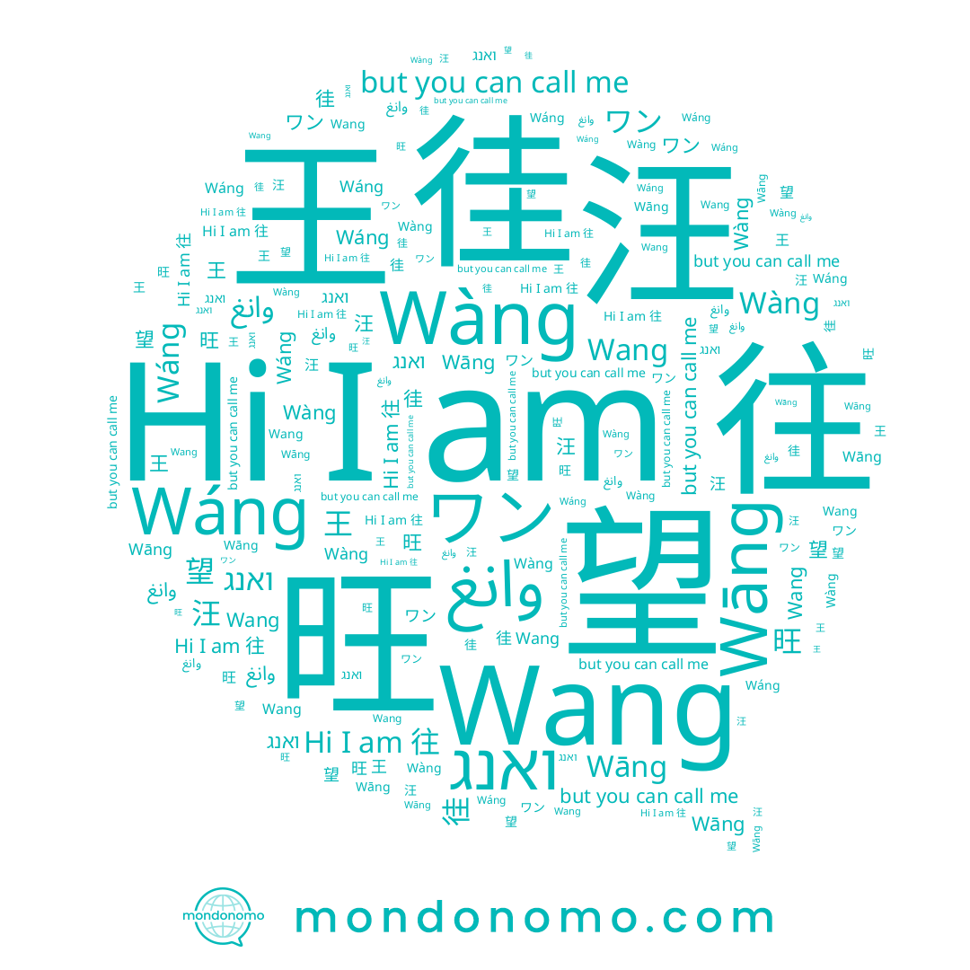 name وانغ, name ואנג, name Wáng, name 徍, name 王, name 汪, name 往, name Wàng, name Wang, name ワン, name Wāng, name 旺, name 왕, name 望