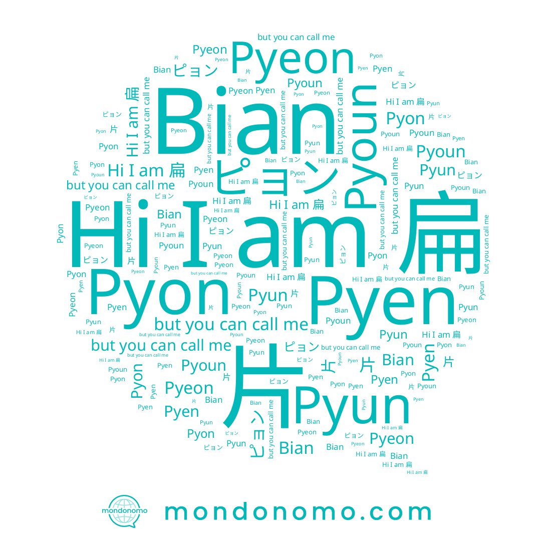 name Pyon, name Bian, name Pyeon, name Pyoun, name 片, name 편, name Pyen, name Pyun, name 扁, name ピョン