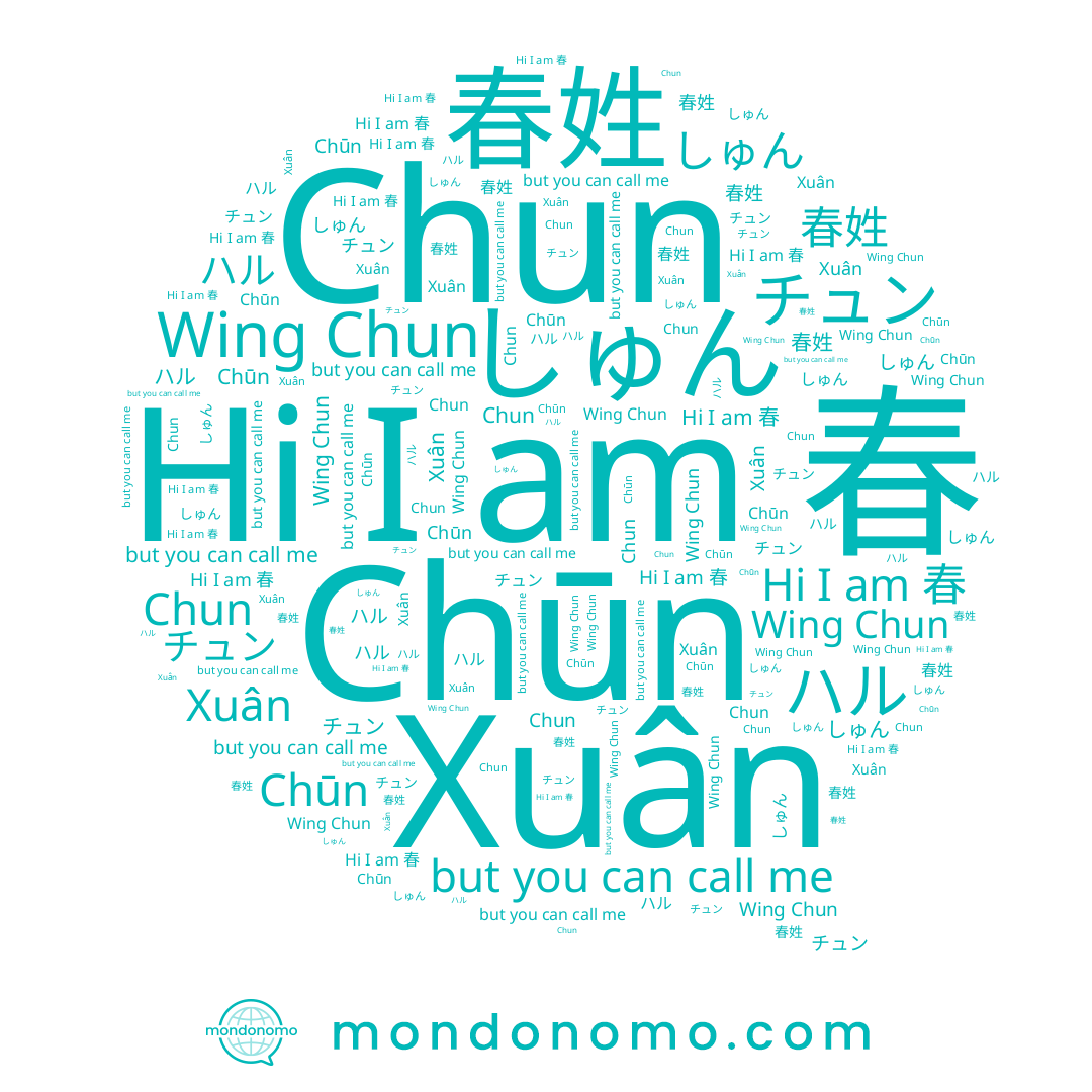 name しゅん, name 春姓, name 春, name Chūn, name ハル, name チュン, name Chun, name Xuân, name Wing Chun