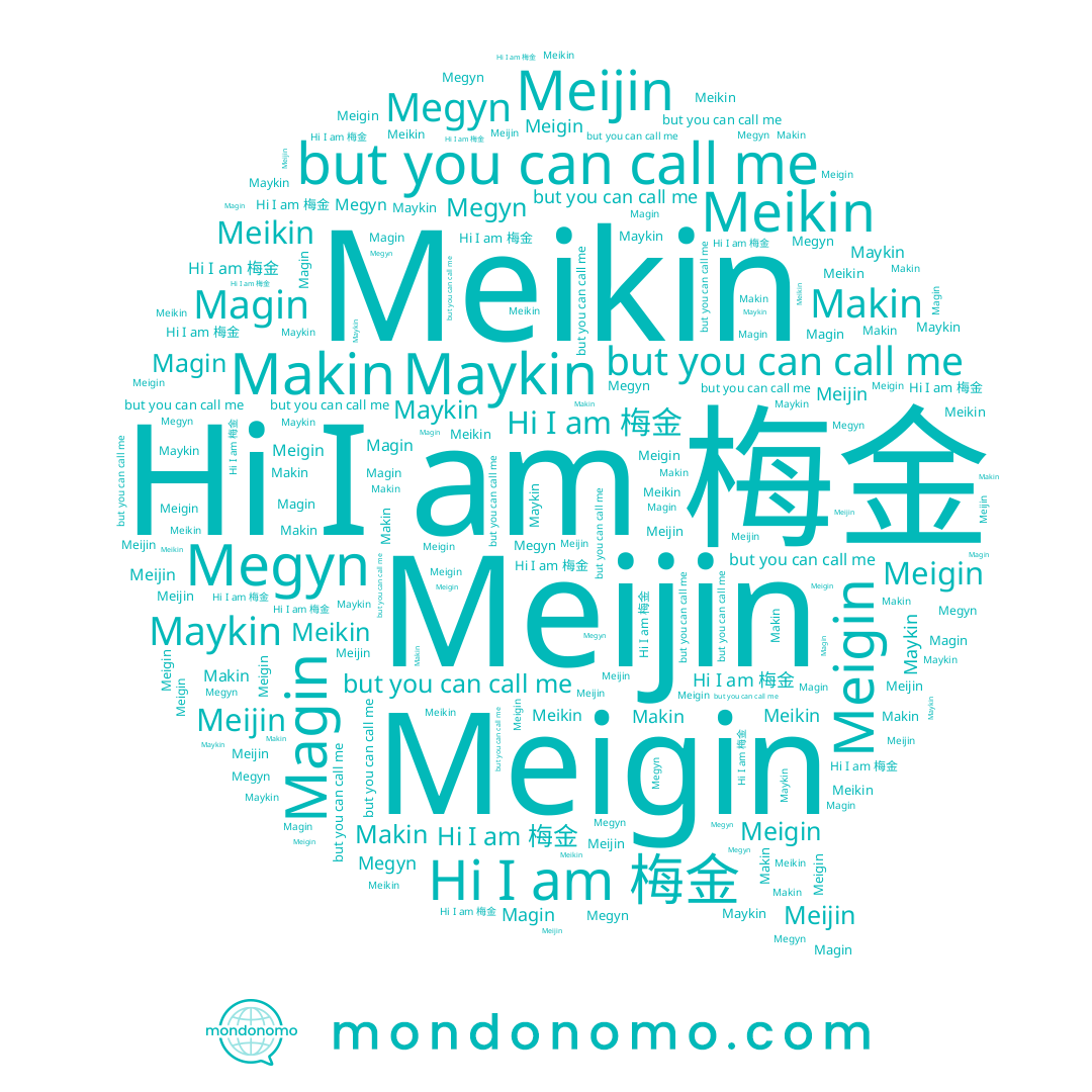 name Megyn, name Makin, name Maykin, name Magin, name 梅金, name Meigin, name Meikin