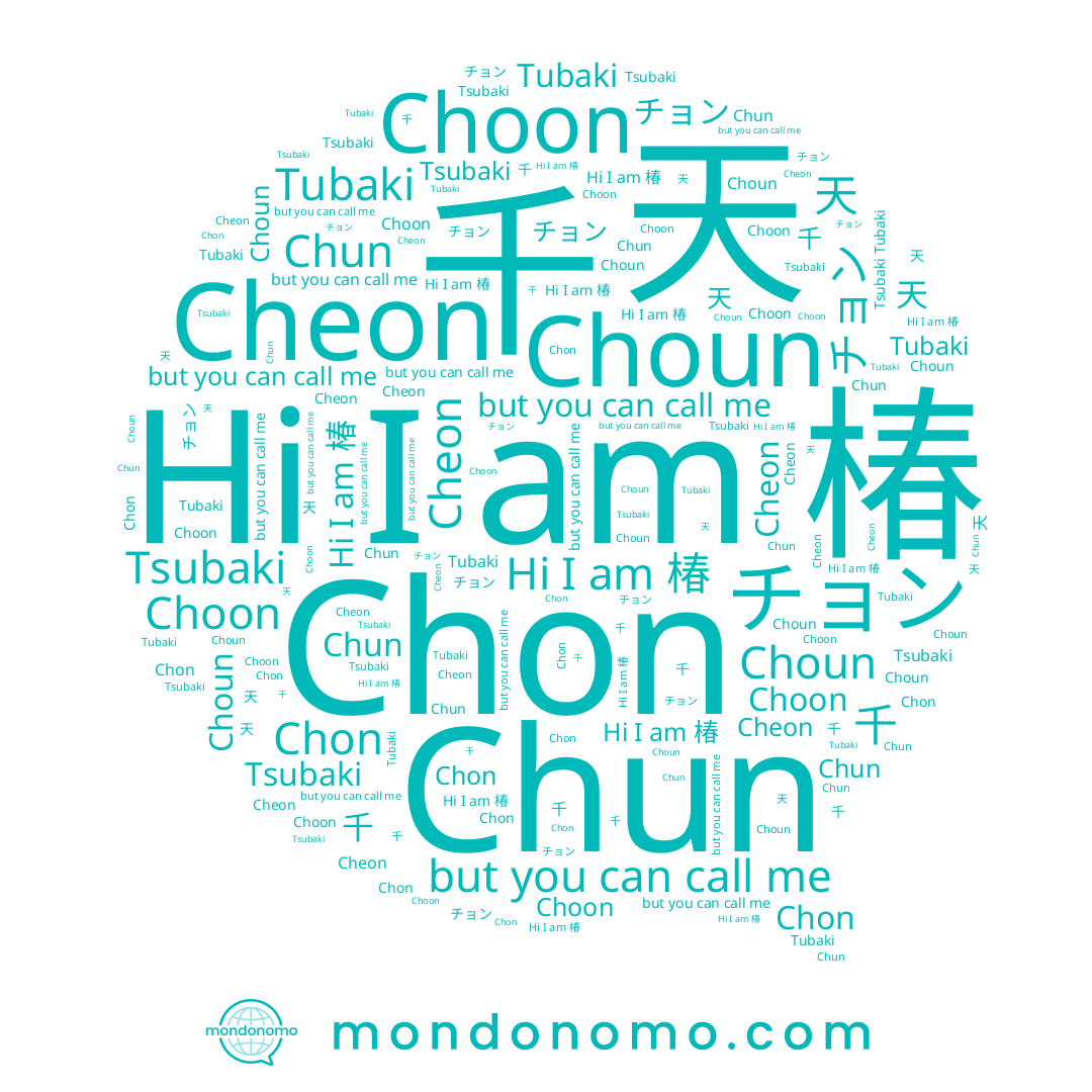 name Chon, name 椿, name Choon, name Choun, name 천, name Tsubaki, name Tubaki, name Chun, name 춘, name Cheon, name 天, name 千, name チョン