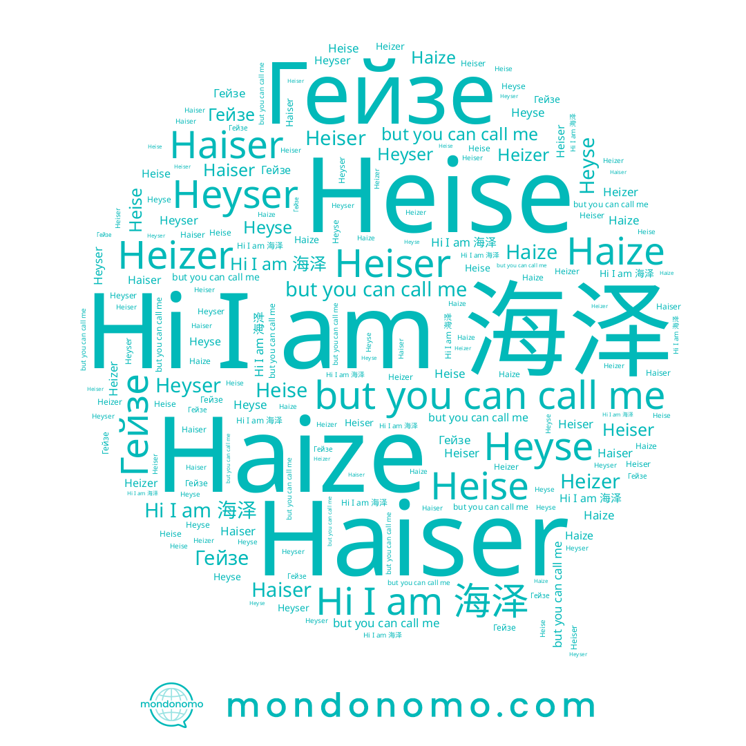name Heizer, name Heiser, name Гейзе, name 海泽, name Heyser, name Haiser, name Heise, name Haize, name Heyse