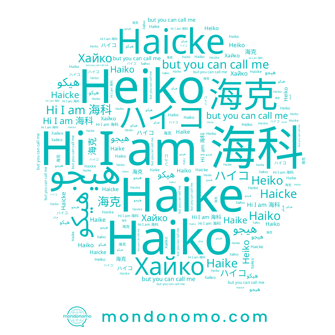 name ハイコ, name هيكو, name 海科, name Хайко, name Haiko, name 海克, name هيجو, name Haicke, name Heiko