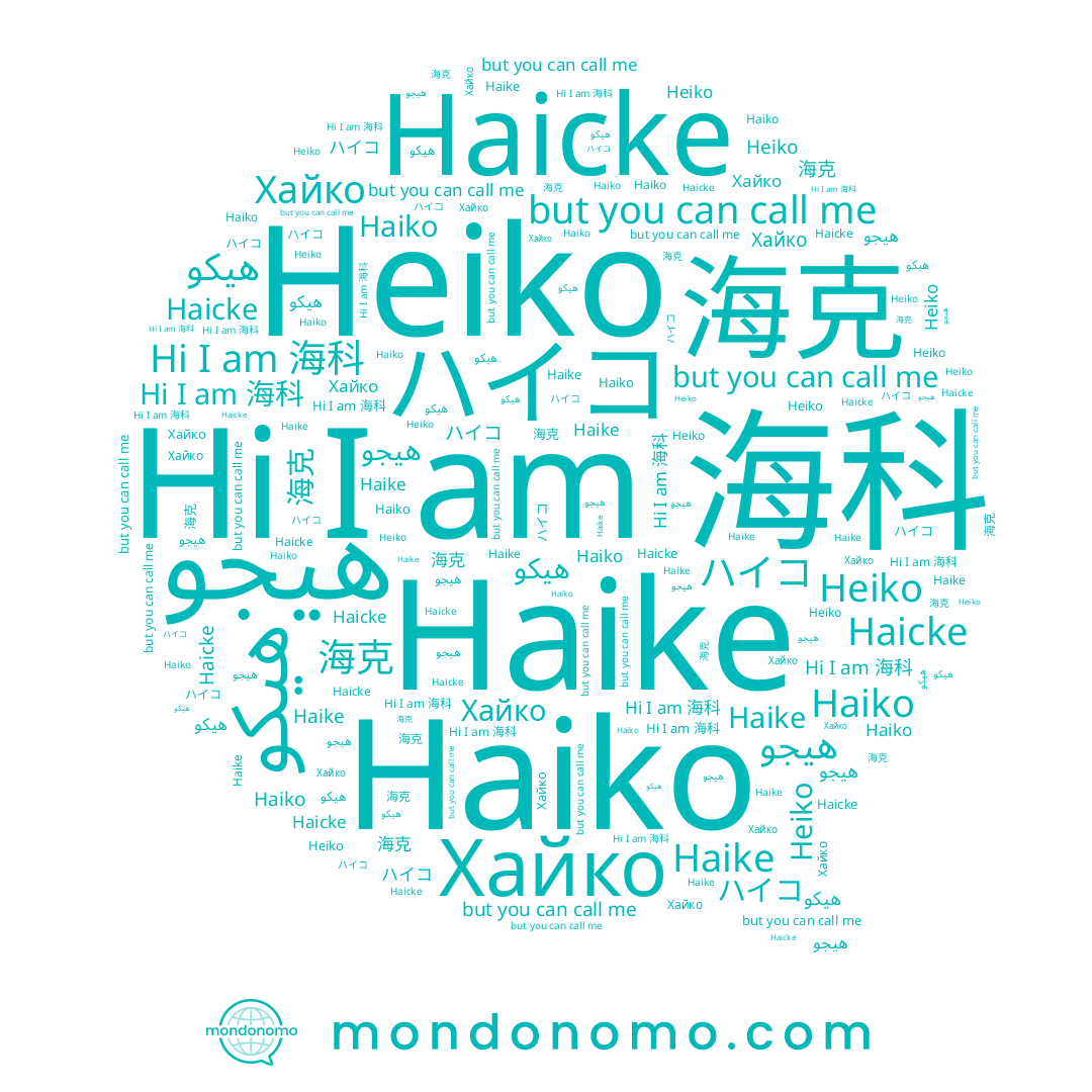 name هيكو, name هيجو, name Heiko, name Haicke, name Хайко, name 海科, name ハイコ, name Haiko, name 海克