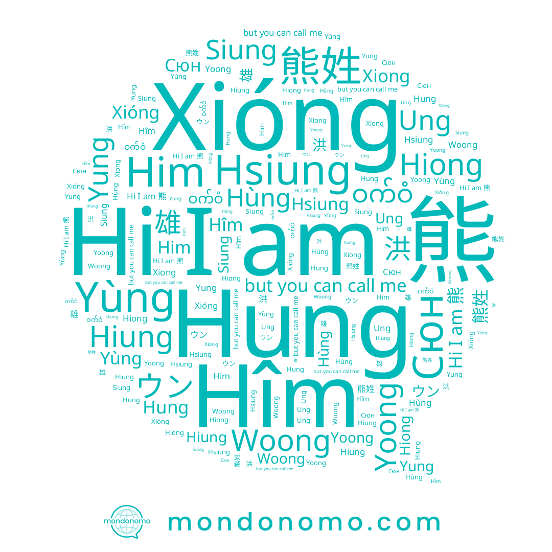 name Hung, name Hîm, name 雄, name Hiung, name 웅, name Siung, name Him, name 洪, name Hsiung, name Woong, name 熊姓, name Xiong, name Ung, name Xióng, name ဝက်ဝံ, name Yoong, name Hùng, name 熊, name Hiong, name ウン, name Yung, name Сюн