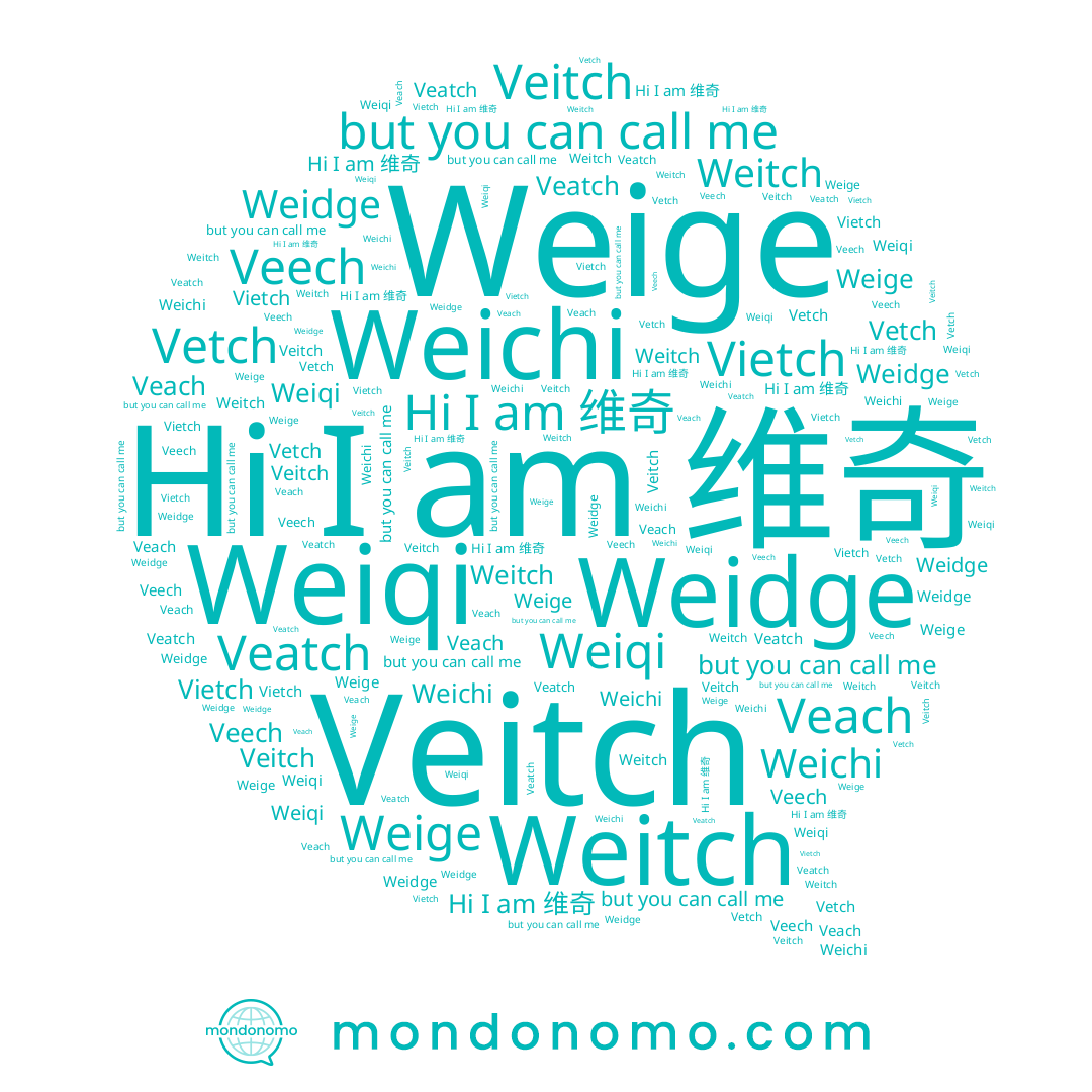 name Vetch, name Veech, name Weichi, name Veach, name Veatch, name 维奇, name Weitch, name Weiqi, name Weige, name Weidge, name Vietch, name Veitch