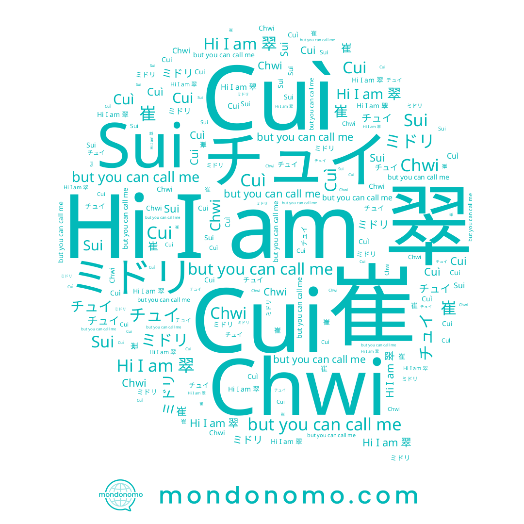 name Chwi, name チュイ, name Sui, name Cui, name ミドリ, name 崔, name 翠