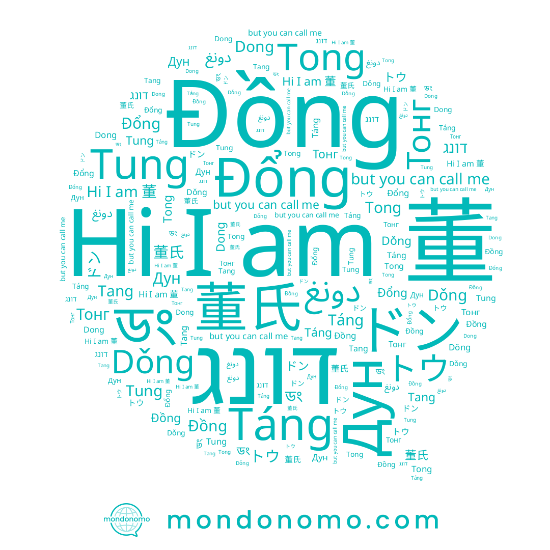 name Dong, name 董, name ドン, name دونغ, name Táng, name Тонг, name トウ, name ডং, name 董氏, name Tang, name Đổng, name Tung, name Tong, name Dǒng, name דונג, name Дун, name 동, name Đồng