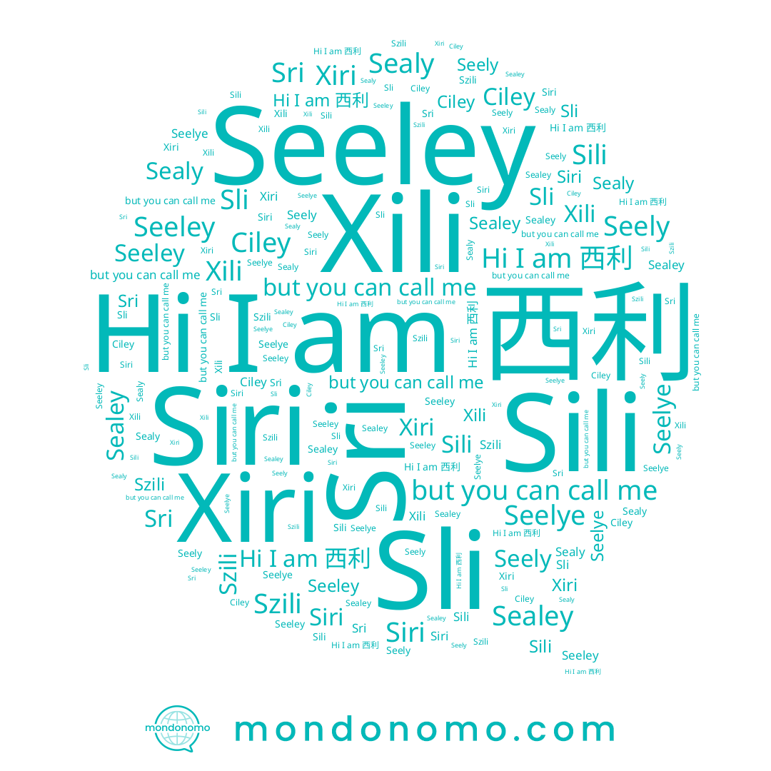 name Szili, name Seely, name Seeley, name Sri, name Siri, name Sealey, name Sli, name Ciley, name Sealy, name Seelye, name 西利