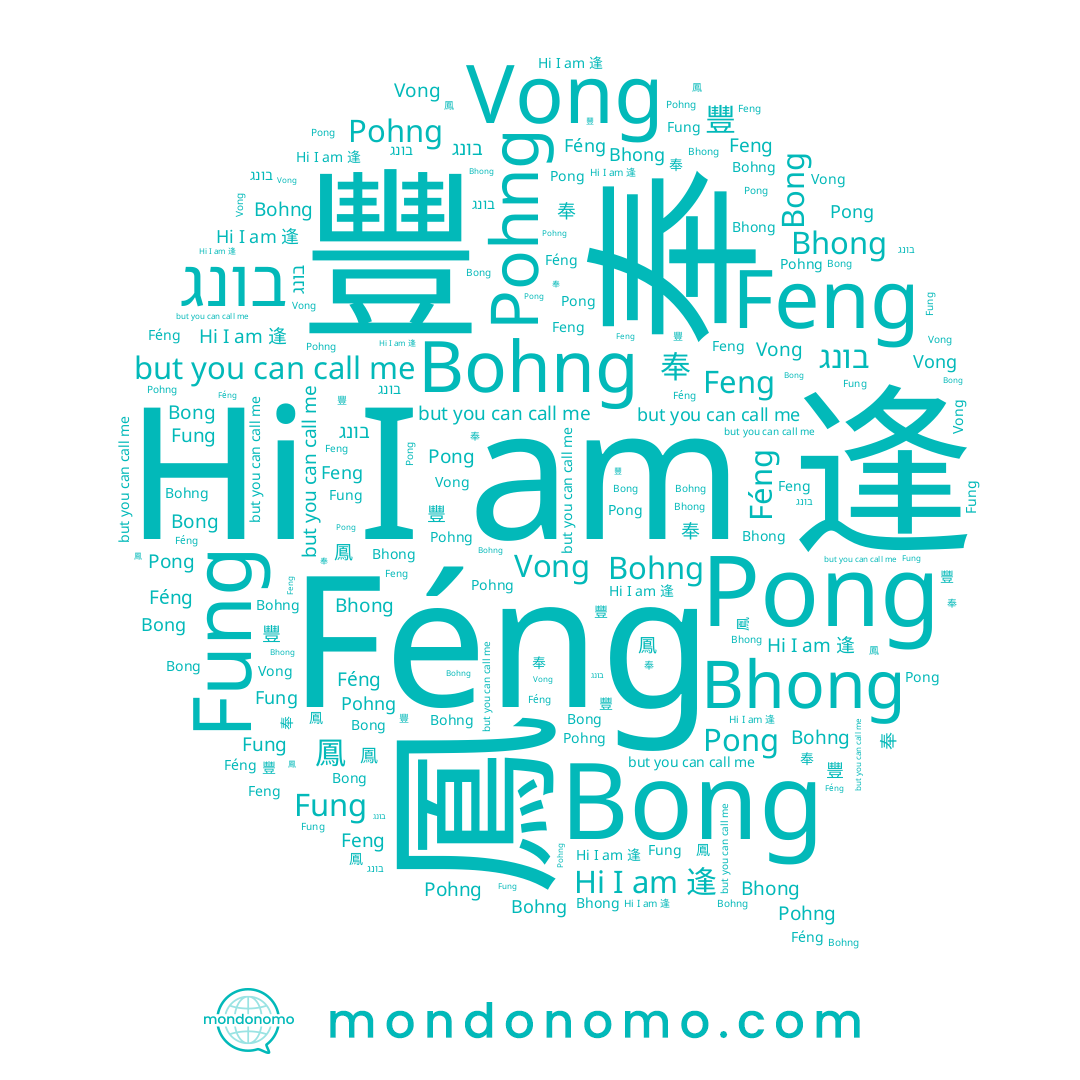 name Pong, name Féng, name Vong, name 豐, name 鳳, name בונג, name 逢, name Bong, name Pohng, name Feng, name Fung, name Bhong, name Bohng, name 봉, name 奉