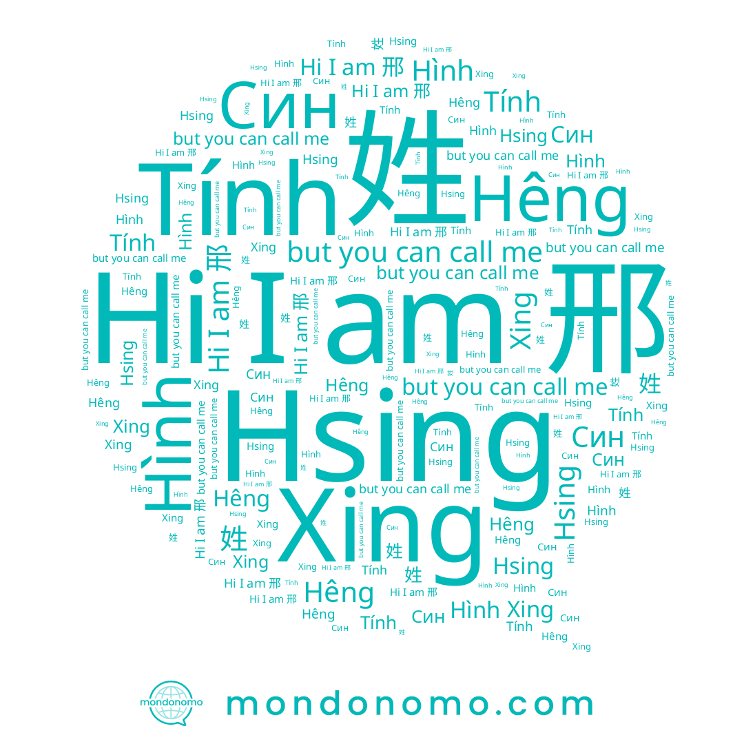name Hêng, name Tính, name Hsing, name 邢, name Син, name Hình, name 姓, name Xing
