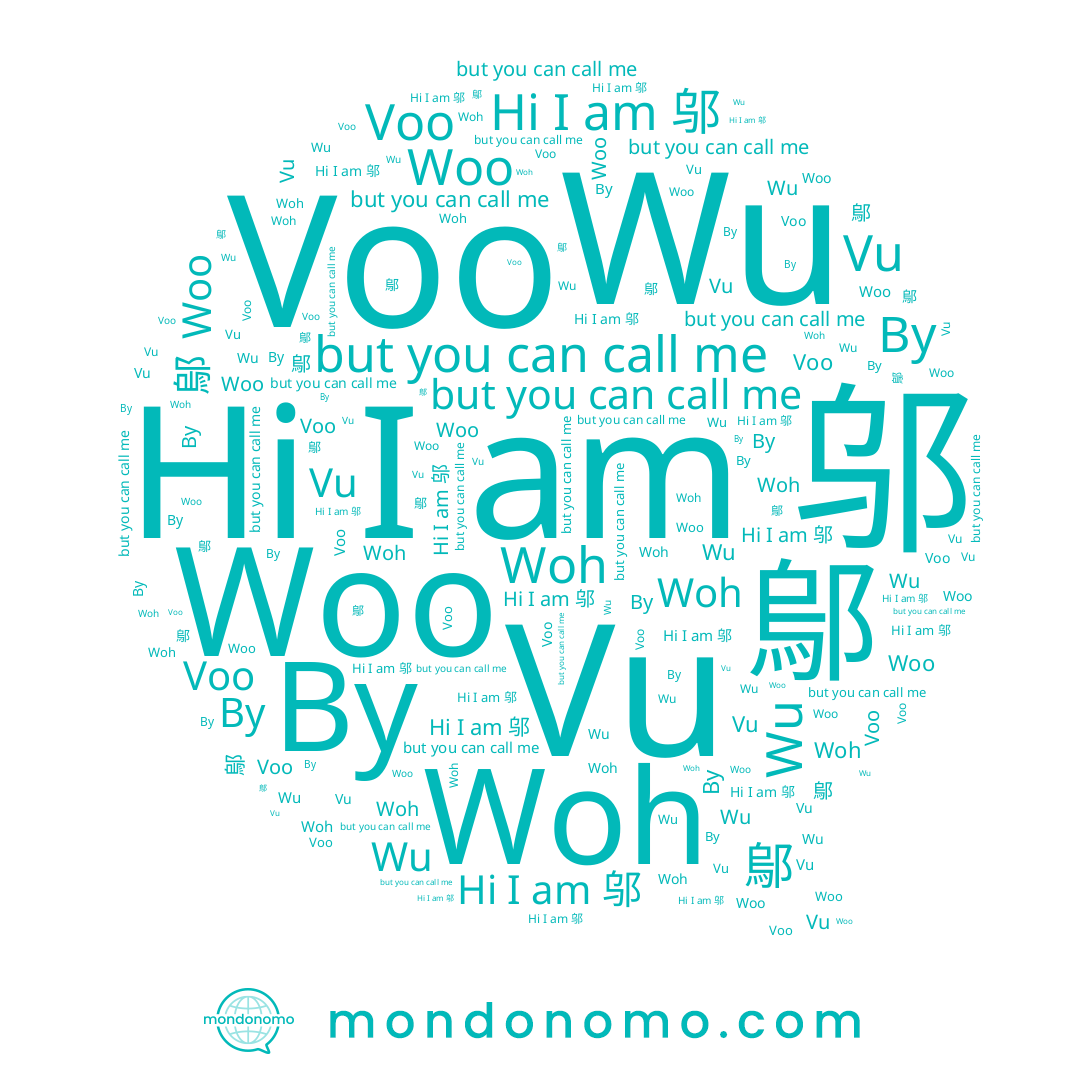 name Vu, name Woo, name Voo, name 邬, name Wu, name Ву, name Woh, name 鄔