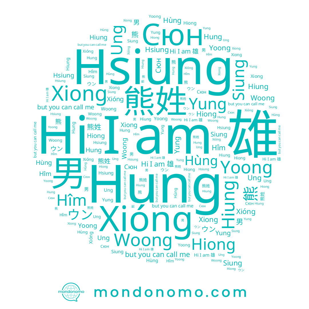 name Hung, name Hîm, name 雄, name Hiung, name 웅, name Siung, name Hsiung, name Woong, name 男, name 熊姓, name Xiong, name Ung, name Xióng, name Yoong, name Hùng, name 熊, name Hiong, name ウン, name Yung, name Сюн