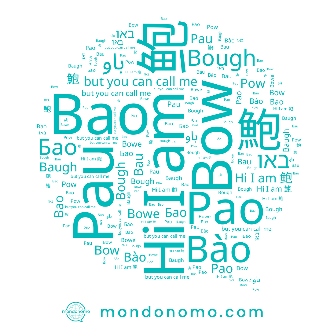 name 鲍, name Bowe, name Bough, name Bao, name Bau, name Bow, name Pao, name באו, name Бао, name باو, name 鮑, name Pow, name Baugh, name Pau, name Bào