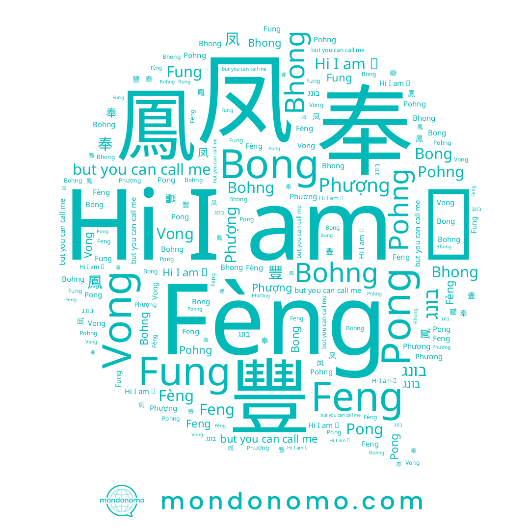 name Pong, name Vong, name 豐, name 鳳, name בונג, name Fèng, name 鳯, name Bong, name Pohng, name Feng, name Fung, name Bhong, name Phượng, name 凤, name Bohng, name 봉, name 奉