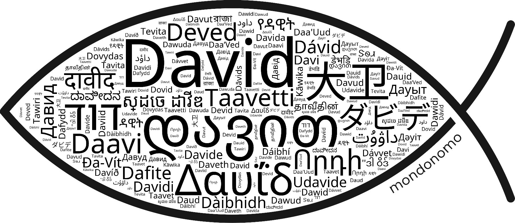 Name David in the world's Bibles