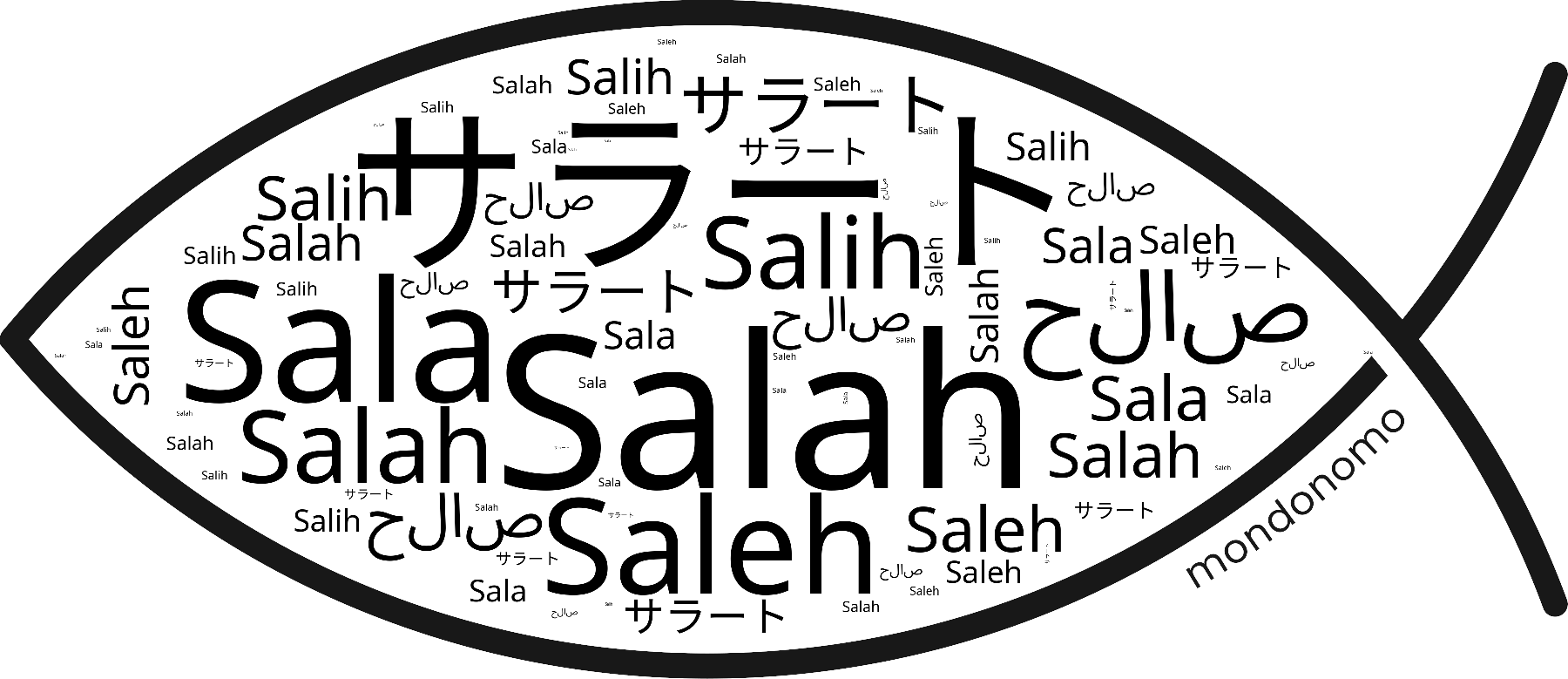 Name Salah in the world's Bibles